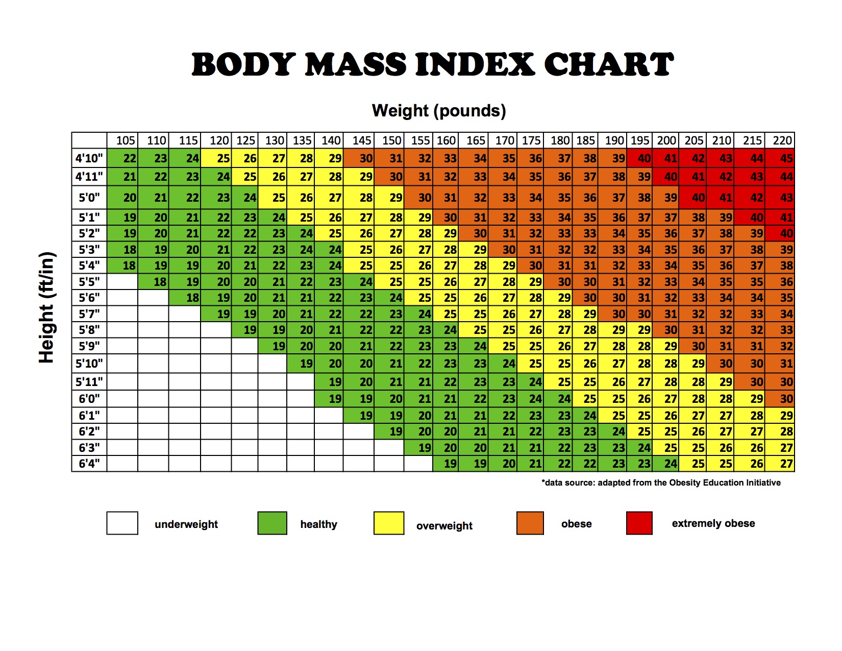 Bmi-Chart-Rocaliza