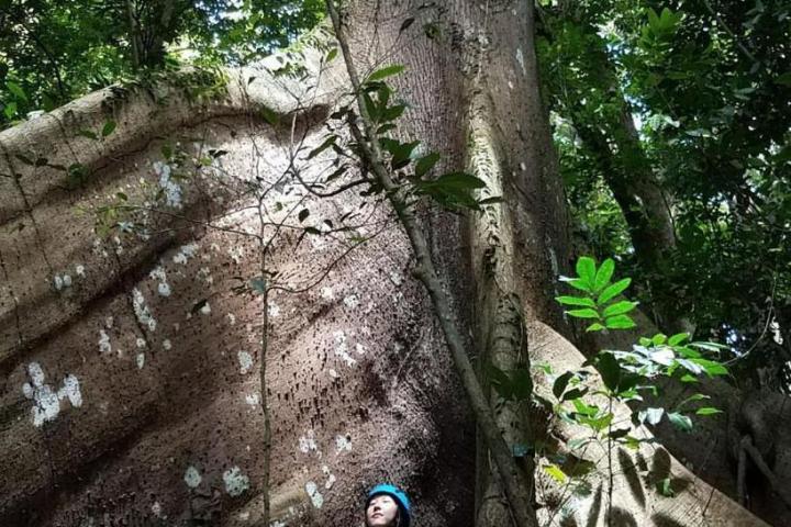 a person sitting in a tree