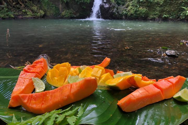 a close up of food on a table
