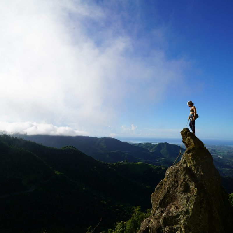 a large mountain in the background